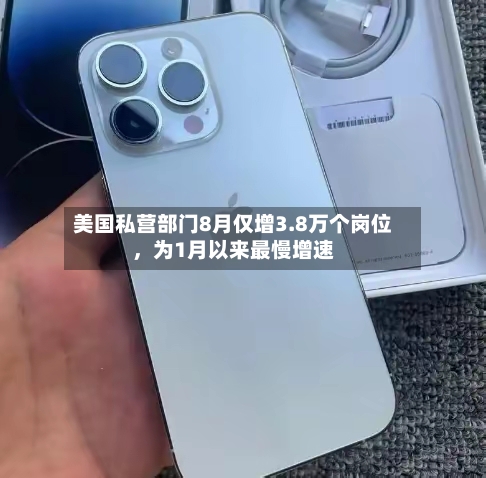 美国私营部门8月仅增3.8万个岗位，为1月以来最慢增速-第2张图片