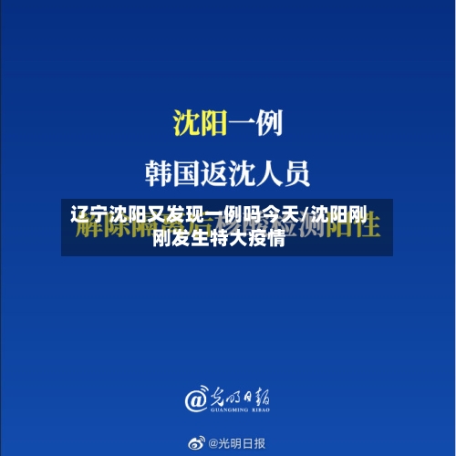 辽宁沈阳又发现一例吗今天/沈阳刚刚发生特大疫情-第2张图片