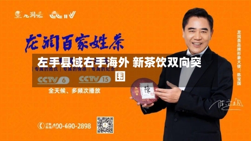 左手县域右手海外 新茶饮双向突围-第2张图片