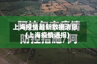 上海疫情最新数据消息(上海疫情通报)-第2张图片