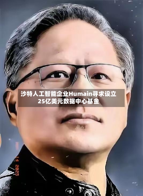 沙特人工智能企业Humain寻求设立25亿美元数据中心基金-第2张图片