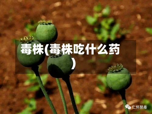 毒株(毒株吃什么药)-第2张图片