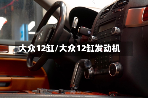 大众12缸/大众12缸发动机