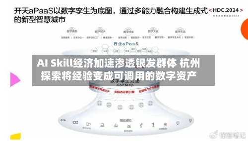 AI Skill经济加速渗透银发群体 杭州探索将经验变成可调用的数字资产-第2张图片