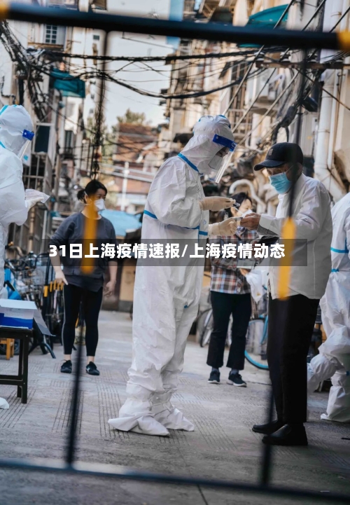 31日上海疫情速报/上海疫情动态
