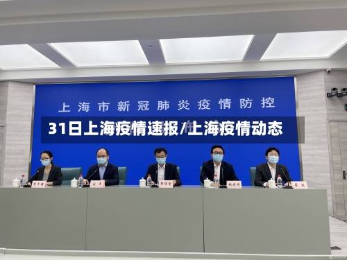31日上海疫情速报/上海疫情动态-第2张图片