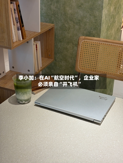 李小加：在AI“航空时代”，企业家必须亲自“开飞机	”-第2张图片