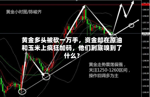 黄金多头被砍一万手，资金却在原油和玉米上疯狂加码，他们到底嗅到了什么？