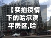 【实拍疫情下的哈尔滨平房区,哈尔滨平房区现在属于哪个区】-第2张图片