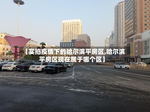 【实拍疫情下的哈尔滨平房区,哈尔滨平房区现在属于哪个区】-第3张图片